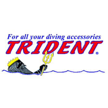 Picture for manufacturer Trident